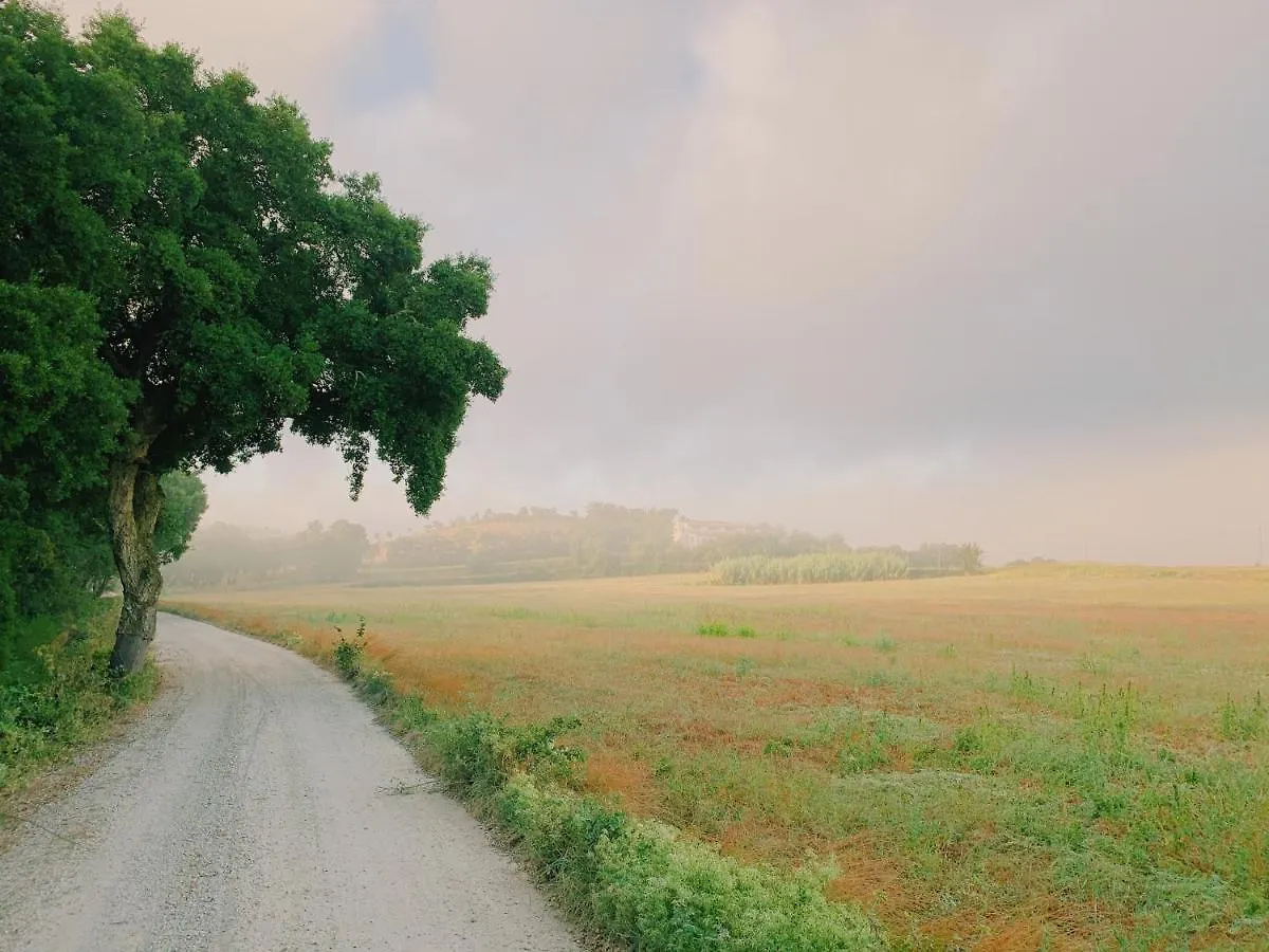 Can Bufi - Hotel & Winery 0*, Llagostera Spain