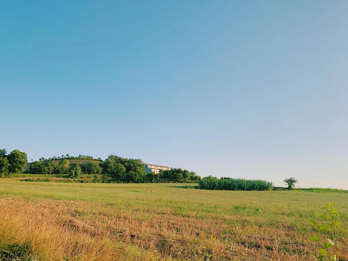 Can Bufi - Hotel & Winery  Llagostera