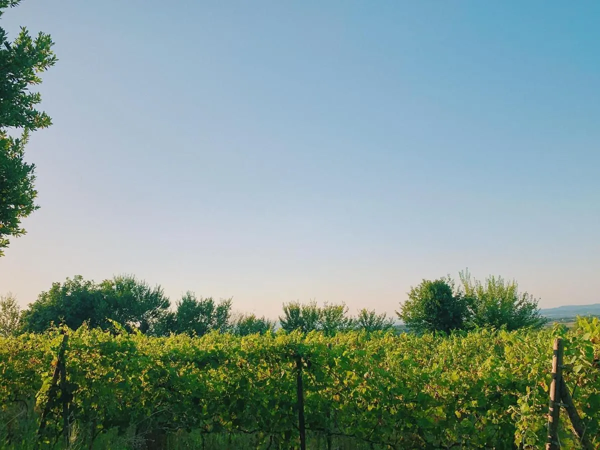 Can Bufi - Hotel & Winery 0*, Llagostera